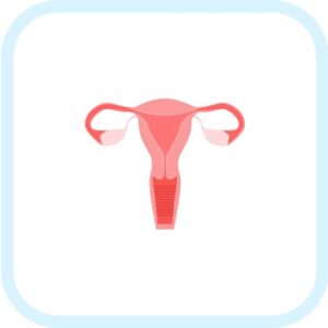 여성 왼쪽 아랫배 통증