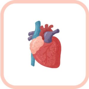 심근경색 증상