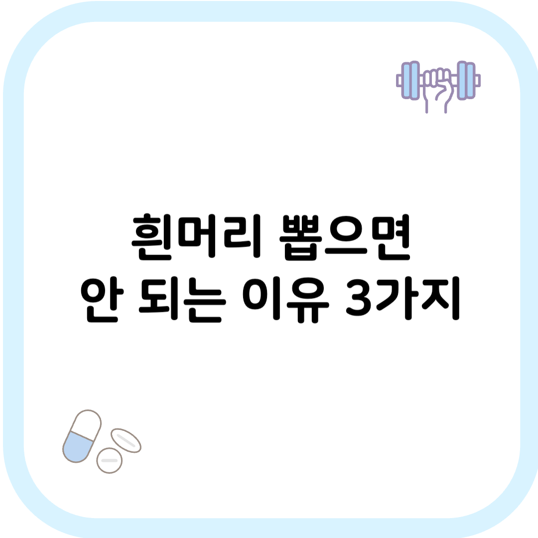흰머리 뽑으면 안되는 이유 썸네일 이미지