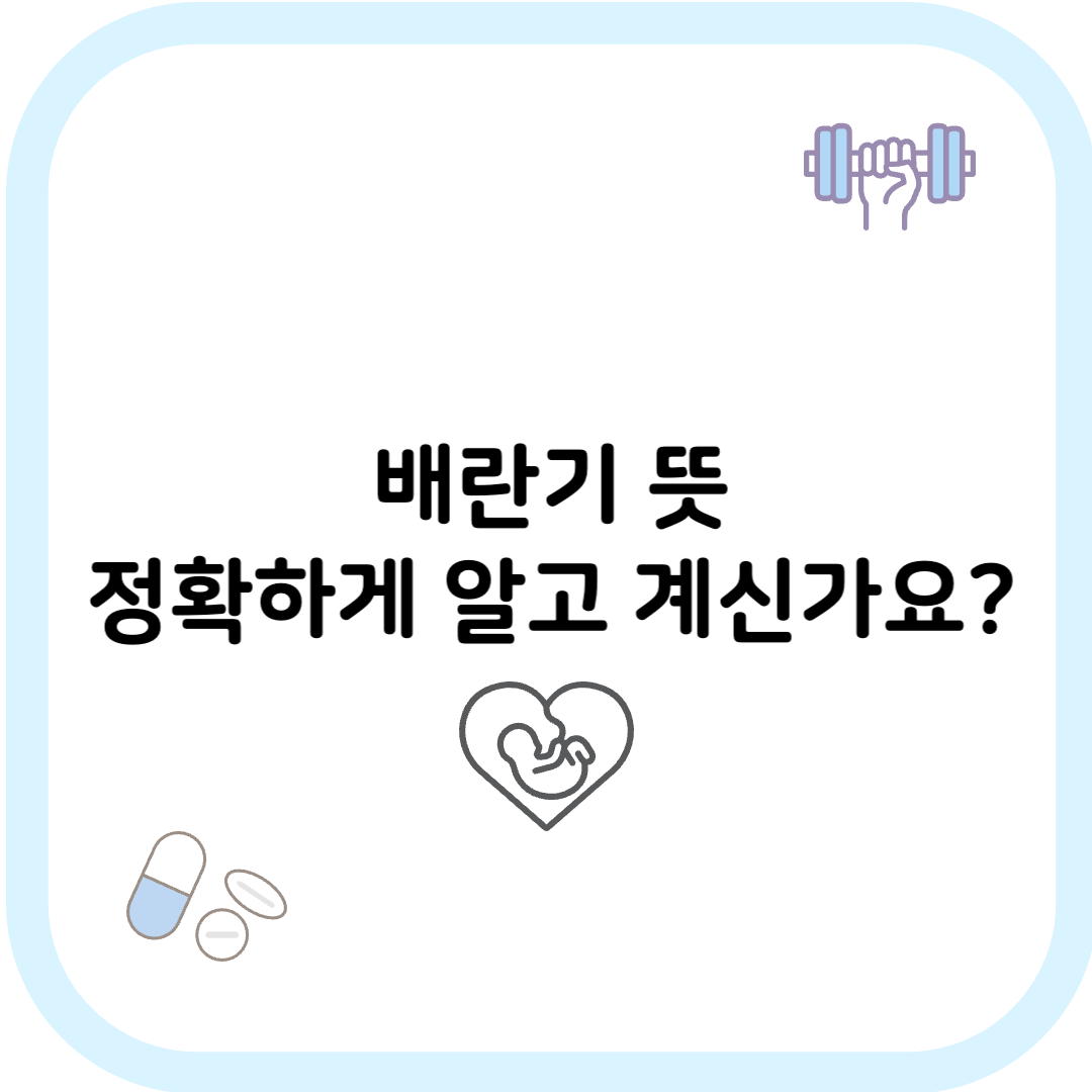배란기 뜻 썸네일 이미지