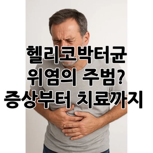 헬리코박터균 썸네일