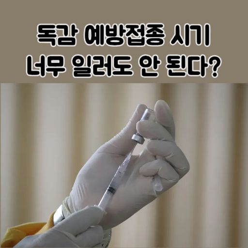 독감 예방접종 시기 썸네일 이미지